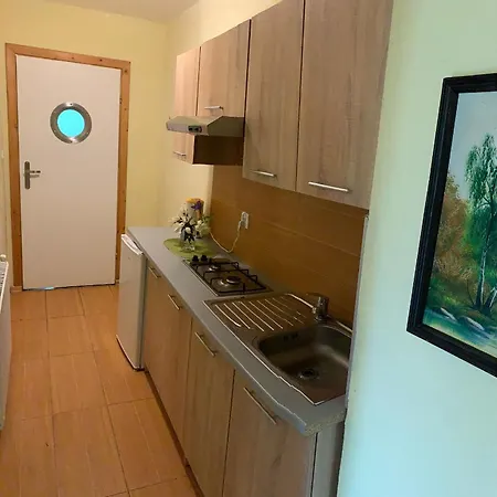 Pszczolka ホームステイ Białogóra