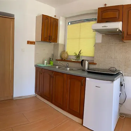 ホームステイ Pszczolka *