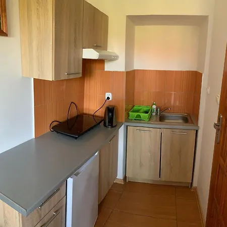 ホームステイ Pszczolka Białogóra