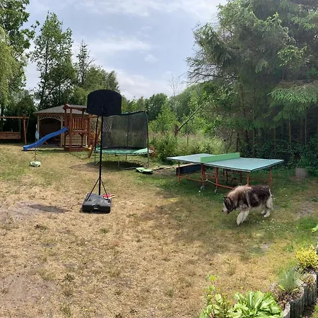 Homestay Pszczolka *