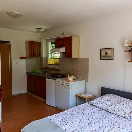 ホームステイ Pszczolka