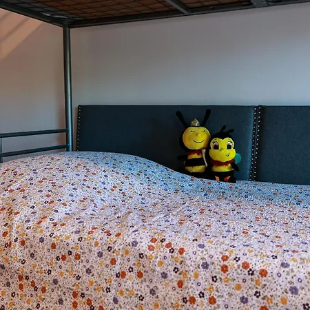 Pszczolka Białogóra