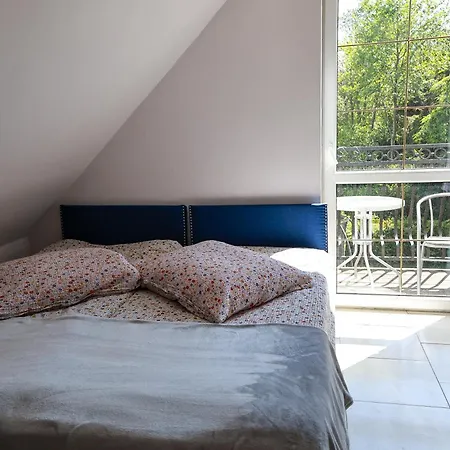 Pszczolka * Białogóra