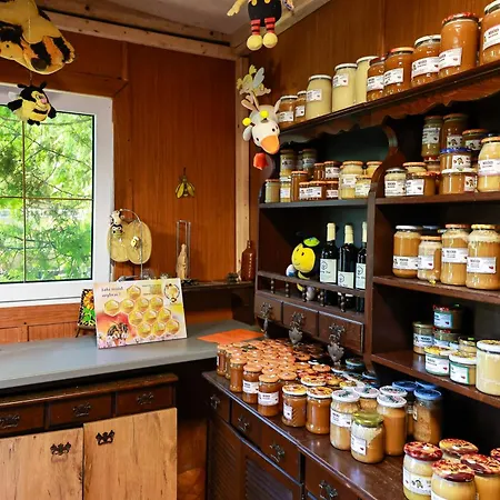 Pszczolka ホームステイ *