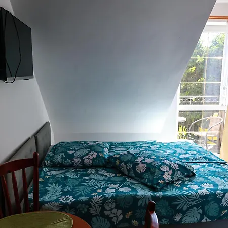 ホームステイ Pszczolka Białogóra