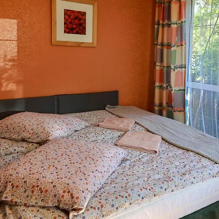 Pszczolka * Białogóra