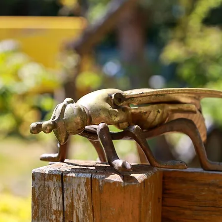 Pszczolka ホームステイ Białogóra