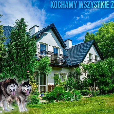 Pszczolka Homestay *