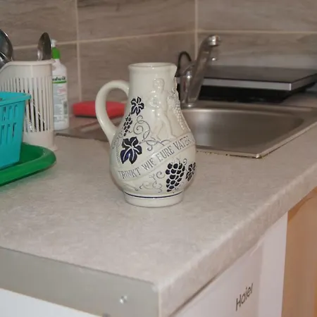 Pszczolka ホームステイ Białogóra