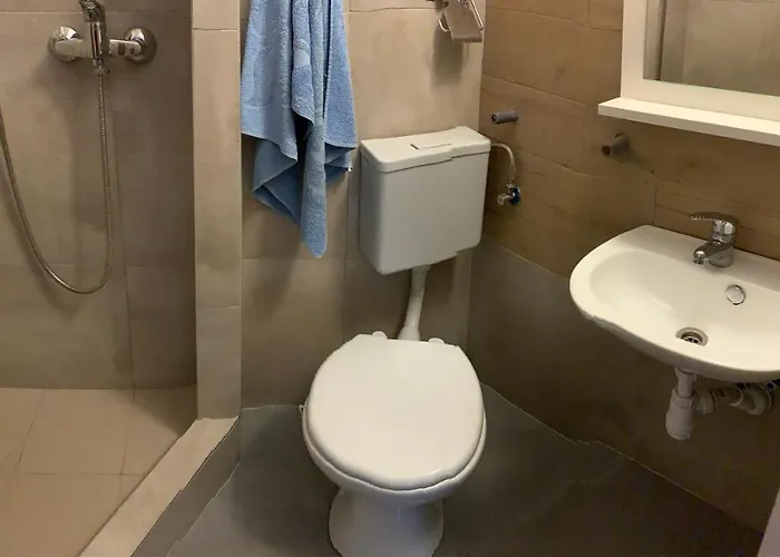 Pszczolka Białogóra