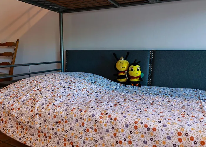 Pszczolka Białogóra