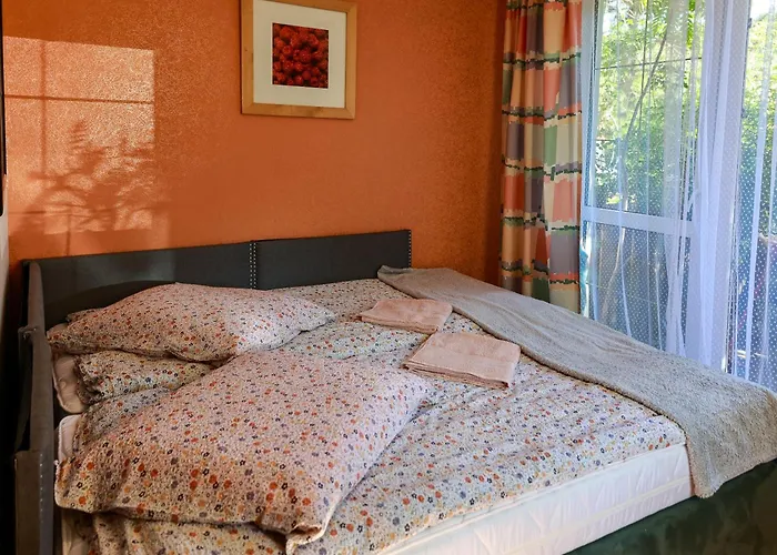 Pszczolka * Białogóra