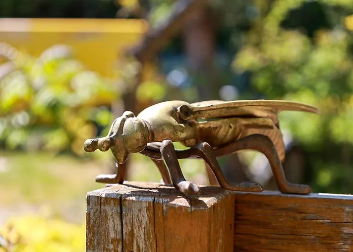 Pszczolka Pansiyon Białogóra