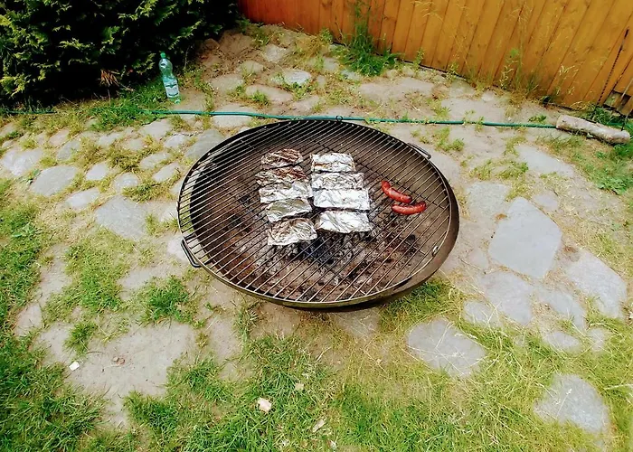 Pszczolka Białogóra