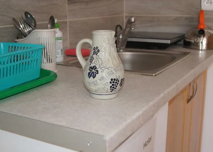 Pszczolka Pansiyon Białogóra